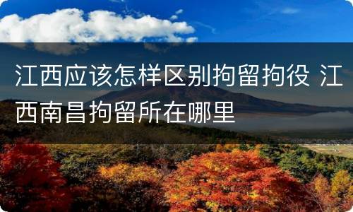 江西应该怎样区别拘留拘役 江西南昌拘留所在哪里