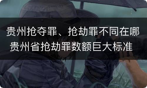 贵州抢夺罪、抢劫罪不同在哪 贵州省抢劫罪数额巨大标准