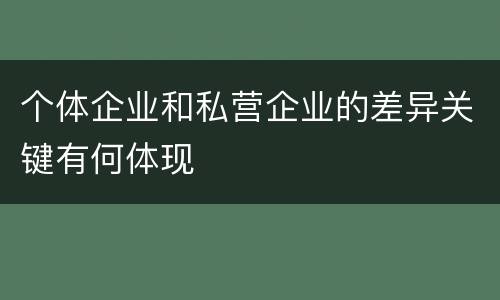 个体企业和私营企业的差异关键有何体现