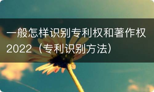一般怎样识别专利权和著作权2022（专利识别方法）