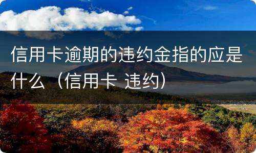 信用卡逾期的违约金指的应是什么（信用卡 违约）