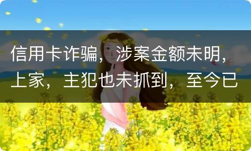 信用卡诈骗，涉案金额未明，上家，主犯也未抓到，至今已有5天，请问可以申请取保吗