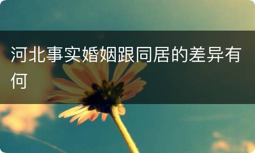 河北事实婚姻跟同居的差异有何