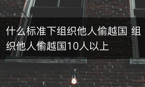 什么标准下组织他人偷越国 组织他人偷越国10人以上