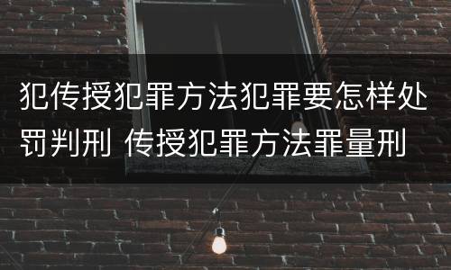 犯传授犯罪方法犯罪要怎样处罚判刑 传授犯罪方法罪量刑