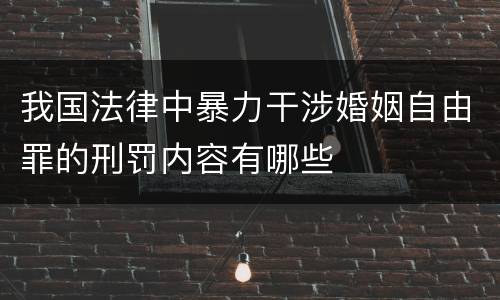 我国法律中暴力干涉婚姻自由罪的刑罚内容有哪些