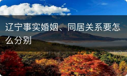 辽宁事实婚姻、同居关系要怎么分别