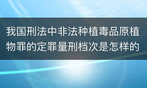我国刑法中非法种植毒品原植物罪的定罪量刑档次是怎样的