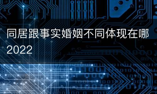 同居跟事实婚姻不同体现在哪2022