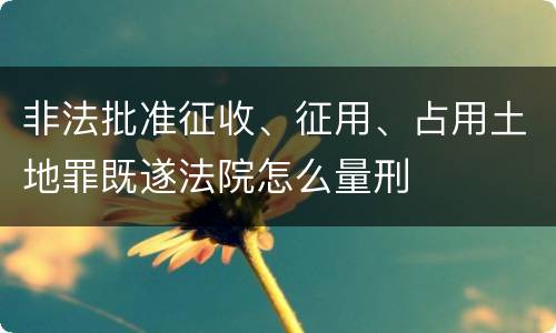 非法批准征收、征用、占用土地罪既遂法院怎么量刑