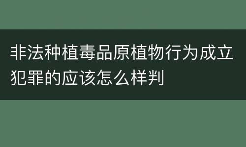 非法种植毒品原植物行为成立犯罪的应该怎么样判