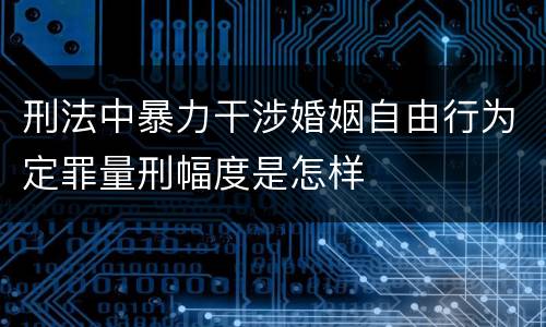 刑法中暴力干涉婚姻自由行为定罪量刑幅度是怎样