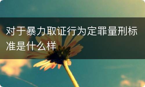 对于暴力取证行为定罪量刑标准是什么样