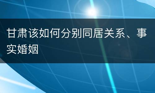 甘肃该如何分别同居关系、事实婚姻