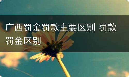 广西罚金罚款主要区别 罚款 罚金区别