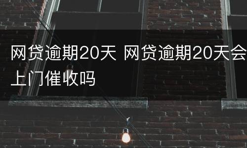 网贷逾期20天 网贷逾期20天会上门催收吗