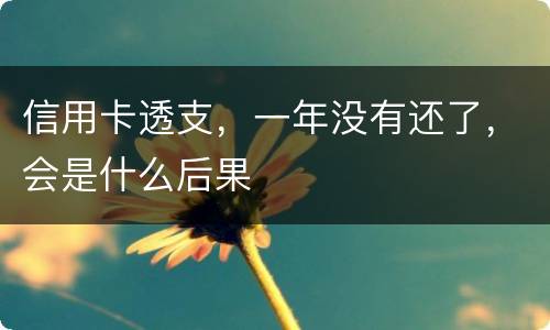 信用卡透支，一年没有还了，会是什么后果