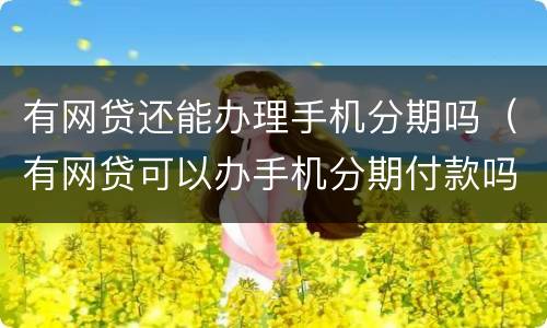 有网贷还能办理手机分期吗（有网贷可以办手机分期付款吗）