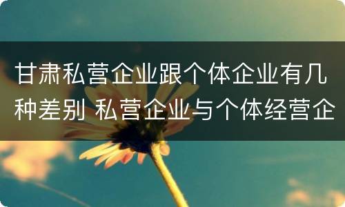 甘肃私营企业跟个体企业有几种差别 私营企业与个体经营企业的区别