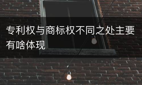 专利权与商标权不同之处主要有啥体现