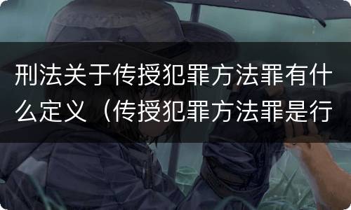刑法关于传授犯罪方法罪有什么定义（传授犯罪方法罪是行为犯吗）