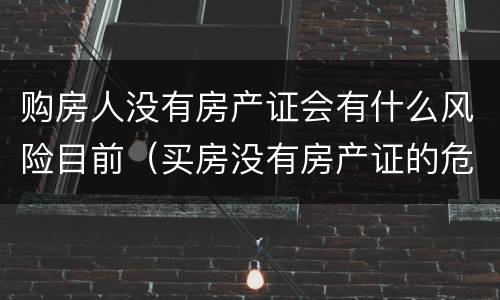 购房人没有房产证会有什么风险目前（买房没有房产证的危害）