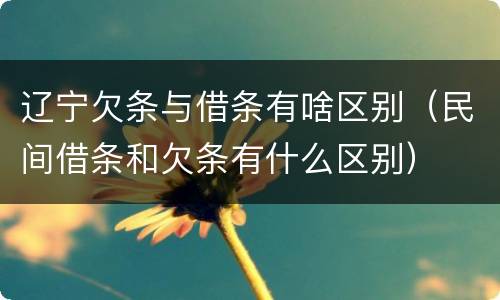 辽宁欠条与借条有啥区别（民间借条和欠条有什么区别）