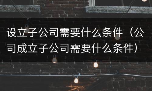 设立子公司需要什么条件（公司成立子公司需要什么条件）
