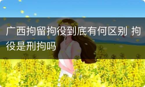 广西拘留拘役到底有何区别 拘役是刑拘吗