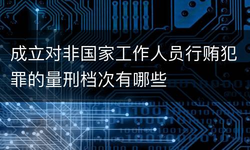 成立对非国家工作人员行贿犯罪的量刑档次有哪些