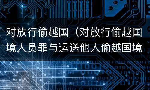 对放行偷越国（对放行偷越国境人员罪与运送他人偷越国境罪共犯）
