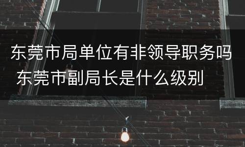东莞市局单位有非领导职务吗 东莞市副局长是什么级别