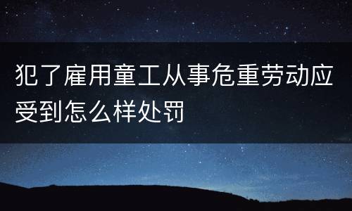 犯了雇用童工从事危重劳动应受到怎么样处罚