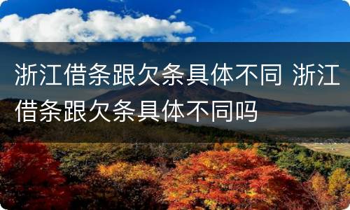 浙江借条跟欠条具体不同 浙江借条跟欠条具体不同吗