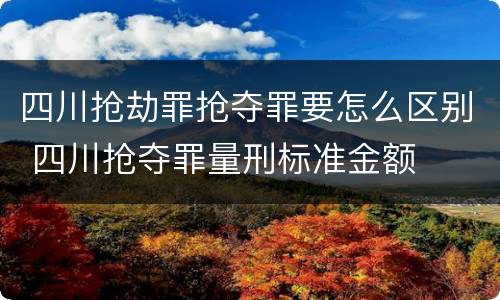 四川抢劫罪抢夺罪要怎么区别 四川抢夺罪量刑标准金额