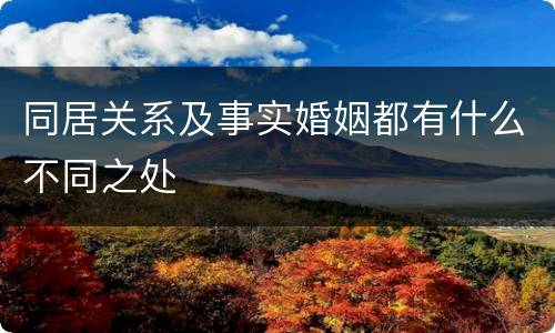 同居关系及事实婚姻都有什么不同之处
