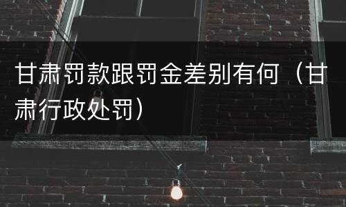 甘肃罚款跟罚金差别有何（甘肃行政处罚）