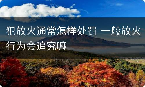 犯放火通常怎样处罚 一般放火行为会追究嘛