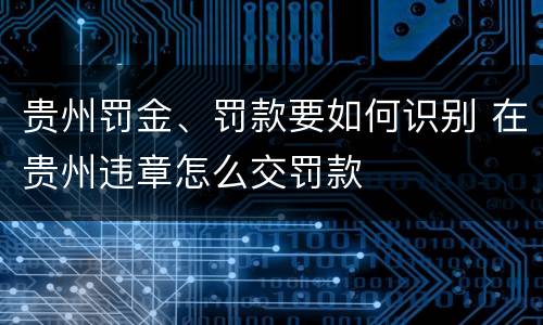 贵州罚金、罚款要如何识别 在贵州违章怎么交罚款