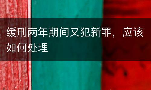 缓刑两年期间又犯新罪，应该如何处理