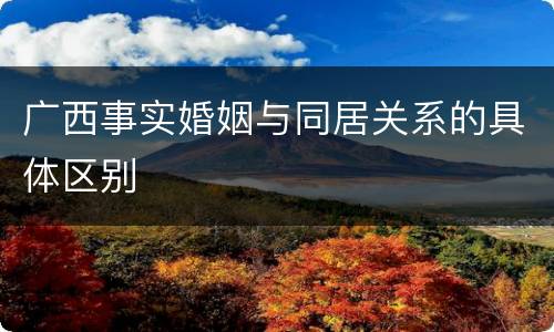 广西事实婚姻与同居关系的具体区别