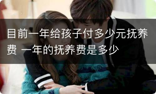 目前一年给孩子付多少元抚养费 一年的抚养费是多少