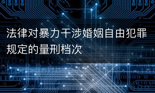 法律对暴力干涉婚姻自由犯罪规定的量刑档次