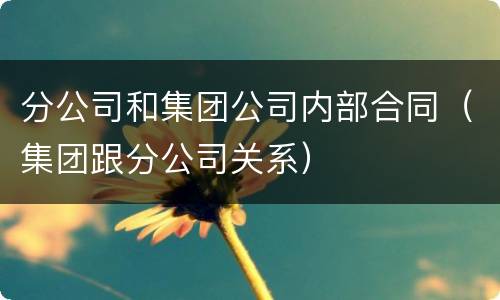 分公司和集团公司内部合同（集团跟分公司关系）