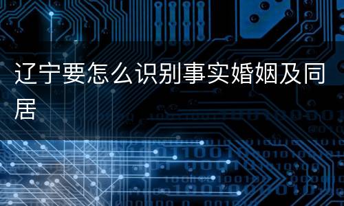 辽宁要怎么识别事实婚姻及同居