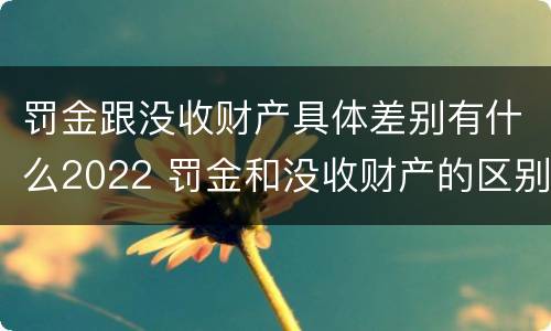 罚金跟没收财产具体差别有什么2022 罚金和没收财产的区别