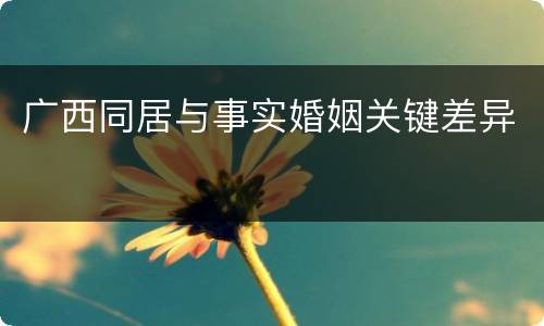 广西同居与事实婚姻关键差异