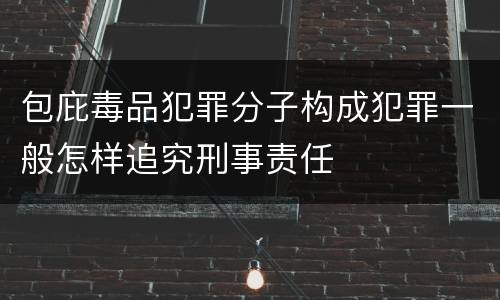 包庇毒品犯罪分子构成犯罪一般怎样追究刑事责任
