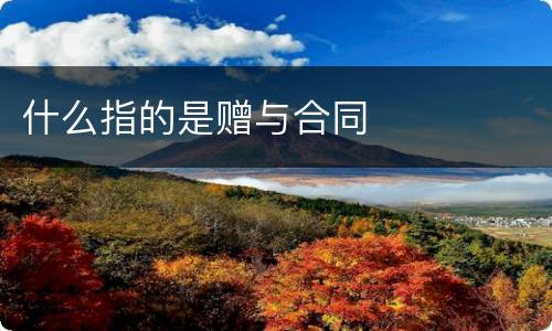 什么指的是赠与合同