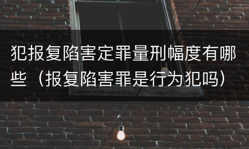 犯报复陷害定罪量刑幅度有哪些（报复陷害罪是行为犯吗）